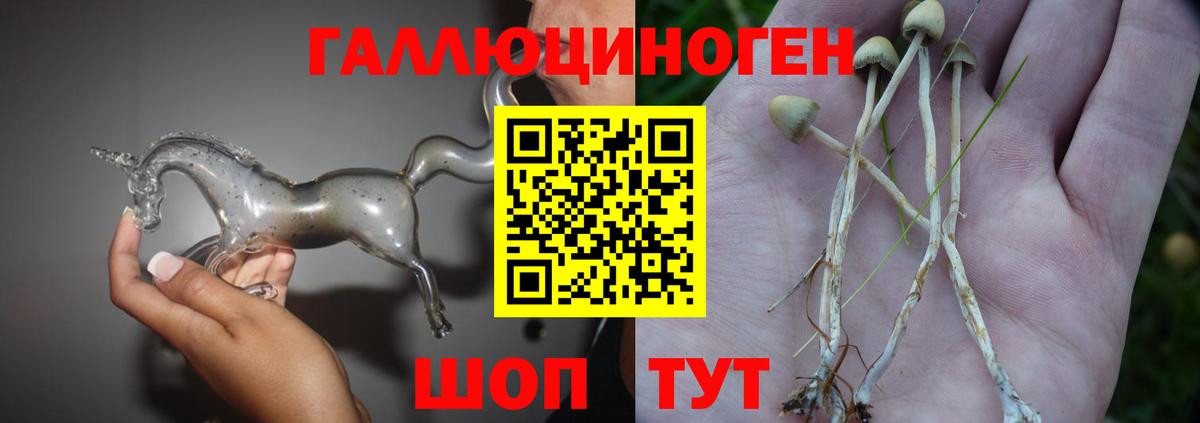 Советский  Галлюциногенные грибы ЛСД  Вход с VPN 
